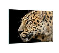 Vidrio Decorativo 120x80cm Moderno Horizontal Naturaleza Animales - 0433 | Gato montés Leopardo Cuadro sobre Vidrio Grande Arte mural Dormitorio Cuadros de Pared Impresión en Cristal Glasprint ARTTOR