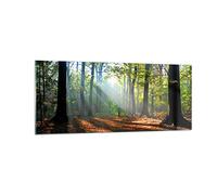 Vidrios decorativos 100x40cm Cuadro Sobre Vidrio Moderno Bosque Hoja Sol Grande Dormitorio Cocina Cuadros Pared Impresiones Decoracion Salon Impresión en Cristal Wall Art Prints Decor GAB100x40-0136