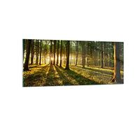 Vidrios decorativos 100x40cm Cuadro Sobre Vidrio Moderno Bosque verde sol rayos naturaleza Grande Cocina Cuadros Pared Impresiones Decoracion Salon Impresión en Cristal Wall Art Prints GAB100x40-2510