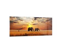 Vidrios decorativos 100x40cm Cuadro Sobre Vidrio Moderno Elefantes Safari selva arbusto Grande Cocina Cuadros Pared Impresiones Decoracion Salon Impresión en Cristal Wall Art Prints GAB100x40-3150