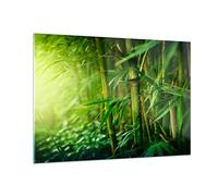 Vidrios decorativos 100x70cm Cuadro Sobre Vidrio Moderno bambú planta Grande Dormitorio Cocina Cuadros Pared Impresiones Decoracion Salon Impresión en Cristal Wall Art Prints Decor GAA100x70-3558