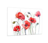 Vidrios decorativos 100x70cm Cuadro Sobre Vidrio Moderno flor amapola prado Grande Dormitorio Cocina Cuadros Pared Impresiones Decoracion Salon Impresión en Cristal Wall Art Prints GAA100x70-3584