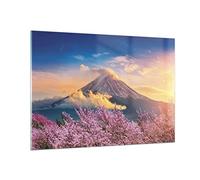 Vidrios decorativos 100x70cm Cuadro Sobre Vidrio Moderno Fuji Flor Cereza Grande Dormitorio Cocina Cuadros Pared Impresiones Decoracion Salon Impresión en Cristal Wall Art Prints Decor GAA100x70-4490
