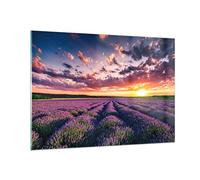 Vidrios decorativos 100x70cm Cuadro Sobre Vidrio Moderno lavanda montañas campo Grande Dormitorio Cocina Cuadros Pared Impresiones Decoracion Salon Impresión en Cristal Wall Art Prints GAA100x70-3816