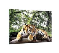 Vidrios decorativos 100x70cm Cuadro Sobre Vidrio Moderno Tigre Selva Descanso Grande Dormitorio Cocina Cuadros Pared Impresiones Decoracion Salon Impresión en Cristal Wall Art Prints GAA100x70-4166