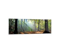Vidrios decorativos 160x50cm Cuadro Sobre Vidrio Moderno Bosque Hoja Sol Grande XXL Dormitorio Cocina Cuadros Pared Impresiones Decoracion Salon Impresión en Cristal Wall Art Prints GAB160x50-0136
