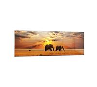Vidrios decorativos 160x50cm Cuadro Sobre Vidrio Moderno Elefantes Safari selva arbusto Grande XXL Cuadros Pared Impresiones Decoracion Salon Impresión en Cristal Wall Art Prints GAB160x50-3150
