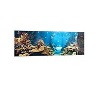 Vidrios decorativos 160x50cm Cuadro Sobre Vidrio Moderno Océano arrecife peces coral Grande XXL Cocina Cuadros Pared Impresiones Decoracion Salon Impresión en Cristal Wall Art Prints GAB160x50-2872