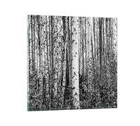 Vidrios decorativos 40x40cm Cuadro Sobre Vidrio Moderno Abedules Bosque Monocromo Dormitorio Cocina Cuadros Pared Impresiones Decoracion Salon Impresión en Cristal Wall Art Prints Decor GAC40x40-4643