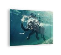Vidrios decorativos elefante animal agua Cuadro Sobre Vidrio Moderno 70x50cm Decoracion Salon Dormitorio Cocina Cuadros Pared Impresiones Impresión en Cristal Wall Art Prints Decor GAA70x50-3944