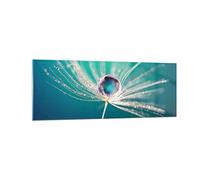 Vidrios decorativos planta naturaleza Cuadro Sobre Vidrio Moderno 140x50cm Decoracion Salon Dormitorio Cocina Cuadros Pared Impresiones Grande XXL Impresión en Cristal Wall Art Prints GAB140x50-3991