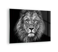 Vidrios decorativos Retrato León Blanco Y Negro Cuadro Sobre Vidrio Moderno 70x50cm Decoracion Salon Dormitorio Cocina Cuadros Pared Impresiones Impresión en Cristal Wall Art Prints GAA70x50-4494