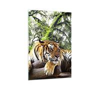 Vidrios decorativos Tigre Selva Descanso Cuadro Sobre Vidrio Moderno 70x100cm Decoracion Salon Dormitorio Cocina Cuadros Pared Impresiones Grande Impresión en Cristal Wall Art Prints GPA70x100-4166