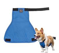 Vientre Perro | Pañales Lavables para Cachorros | Envolturas para Perros Macho con Cuero Suave y urinario Reservado, Ideal para Dachshund, Corgi, Basset Dog Onlynery