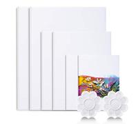 Viesap Lienzos, 6 PCS Lienzos Para Pintar Acrilico, 30x40, 20x30, 15x20 Paneles De Lienzos De Arte, 100% Algodón Lienzo Para Pintar, Paneles De Lienzos Cuadrados, Set De Lienzos Preestirados Blanco