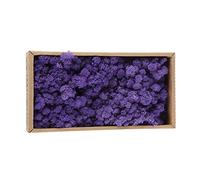 VIGAN Plantas de simulación de 500 g, musgo de vida eterna, jardín, decoración del hogar, material de flores, mini jardín, micro paisaje, musgo falso (morado)
