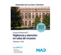 Vigilancia Y Atención En Salas De Museos (grupo Profesional E1). Minis
