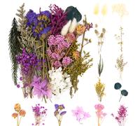 Vignee Real Dried Pressed Leaf Flowers-Multiple Colorful Pressed Flowers Daisies for Craft Resin Jewelry Making Art Craft DIY(Violet)