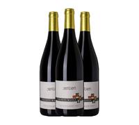 Vigneti Massa Sentieri Bacca Roja Colli Tortonesi 75 cl Vino tinto (Caja de 3 Botellas de 75 cl)