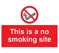 Viking signos pc537-a1l-ac "este es un sitio de no fumar señal, compuesto de aluminio, 600 mm H x 800 mm W