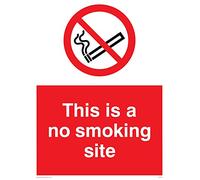 Viking signos pc537-a1p-1 m "este es un sitio de no fumar señal, 1 mm plástico semirrígido, 800 mm H x 600 mm W