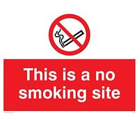 Viking signos pc537-a3l-ac "este es un sitio de no fumar señal, compuesto de aluminio, 300 mm H x 400 mm W