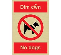 Viking signos pv916-a4p-gv "Dim cwn no perros" signo, oro vinilo, 300 mm H x 300 mm W