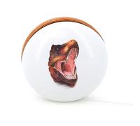 Vilac - Yoyo T-Rex Museum - Juguete Divertido para Les Grands o Les Petit - Fabricado en Francia - Colaboración con Paleontólogo Ronan Allain - Juguete de Madera Atemporal - a Partir de 5 años - 9631