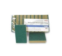 VILEDA 10 esponjas de Cocina 14 x 9 cm, Esponja abrasiva para vajilla, esponjas de Doble Cara