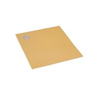 Vileda PVA Perfo Lochtuch - 10 Stück - B005PMZB5M | Packung (10 Tücher)