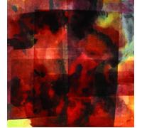 Vilhelm Bromander In This Forever Unfolding Moment (Vinyl)