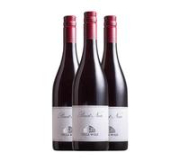 Villa Wolf Pinot Negro Pfälz 75 cl Vino tinto (Caja de 3 Botellas de 75 cl)