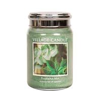 Village Candle - Tarro grande, aroma de menta de eucalipto, 737 g