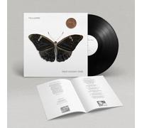 VILLAGERS - Ese Tiempo Dorado (2024) LP Vinilo Pre Pedido