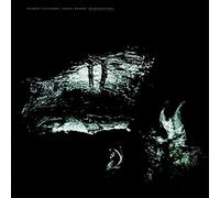 Villalobos,Ricardo - Microgestures [VINYL] [Vinilo]