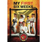 Villari's Self Defense Centers (Chester Springs) My First Six Weeks