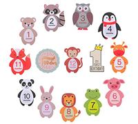 VILLCASE 24 Piezas Calcomanías de para Bebés Animal para Fotografías y Cumpleaños Infantiles Stickers de para Mes de Crecimiento