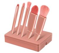 VILLCASE Conjunto de Brochas de Maquillaje Portátil Rosa Estuche Compacto y Espejo, Adecuado para Viaje y Bolso, Incluye Aplicador de Base y Pincel Corrector