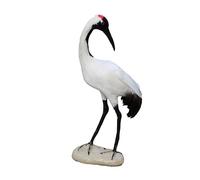 VILLCASE Pájaro de Simulación Danza Roja Plumas Reales, Adorno Artificial de Plástico Acabado Fino para Decoración en Oficina y Hogar