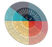 VILLCASE Pegatina de Vinilo Educativa Rueda de Emociones para Pared, Adhesivo Decorativo Emocional para Aula y Psicoterapia, Vinilos de Sentimientos para Portátil y Armarios, 1 Unidad