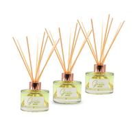 Ville de Grasse SENSAODOR, Ambientador, Mikado 100ml, Empresas, Hogar, Ambientación y Decoración (Jazmín, Pack 3 (300ml))