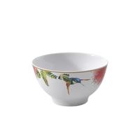 Villeroy & Boch Amazonia Anmut bol