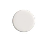 Villeroy & Boch Iconic Plato universal, decorativo, apto para lavavajillas, porcelana, Blanco, 24 centímetros