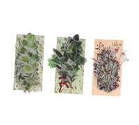 VILLFUL 120 Piezas Pegatina Manual de plantas flores hierba suministros de cestería decoración de plantas álbum de fotos photo album decoración vintage hojas pegatinas mascotas pegatinas