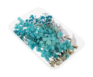 VILLFUL Flores Secas Azules Hechas a Mano para Manualidades Decorativas DIY | Material de Flores Secas, para Velas y Marcos, Aspecto Duradero y Realista, Uso en Maquillaje y Manicura