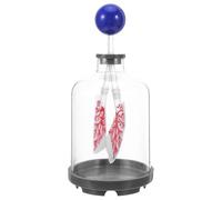 VILLFUL Modelo de Respiración Pulmonar Diafragma Móvil Azul, Kit Didáctico para Aula, Modelo Anatómico Reutilizable para Demostración Científica y Enseñanza de Fisiología Pulmonar