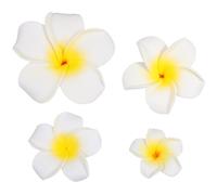 VILLFUL Pinzas para Cabello Flores Hawaianas de Espuma 4 Piezas, Accesorio Dulce y Juvenil para Fiesta Luau y Picnic de Verano