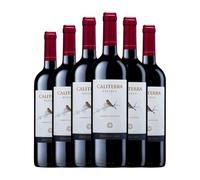 Vina Caliterra Cabernet Sauvignon Valle de Colchagua Reserva 75 cl Vino tinto (Caja de 6 Botellas de 75 cl)