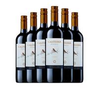 Vina Caliterra Carmenère Valle de Colchagua Reserva 75 cl Vino tinto (Caja de 6 Botellas de 75 cl)
