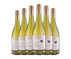 Vina Caliterra Chardonnay Valle de Casablanca Reserva 75 cl Vino blanco (Caja de 6 Botellas de 75 cl)